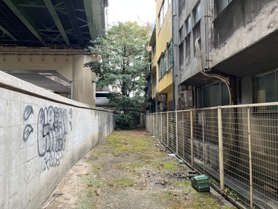 整備前の遊歩道