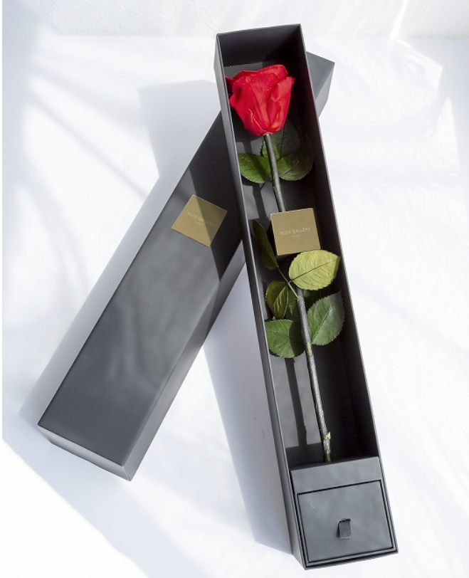 [新商品]1本2万円（税別）の最高品質のバラ！！バラ専門店のROSE GALLERYから”The  One Special Edition”が登場いたします！