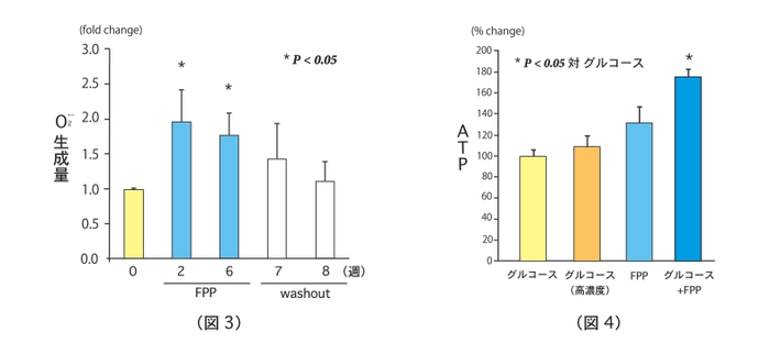 (図3)FPPによる2型糖尿病患者の呼吸バーストの誘導 (図4)FPPによるATP産生の誘導