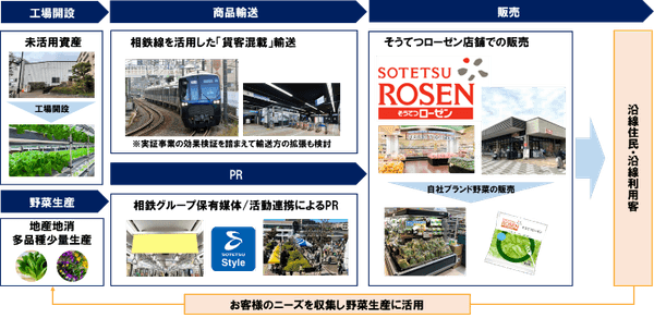 本実証事業の流れ（イメージ）