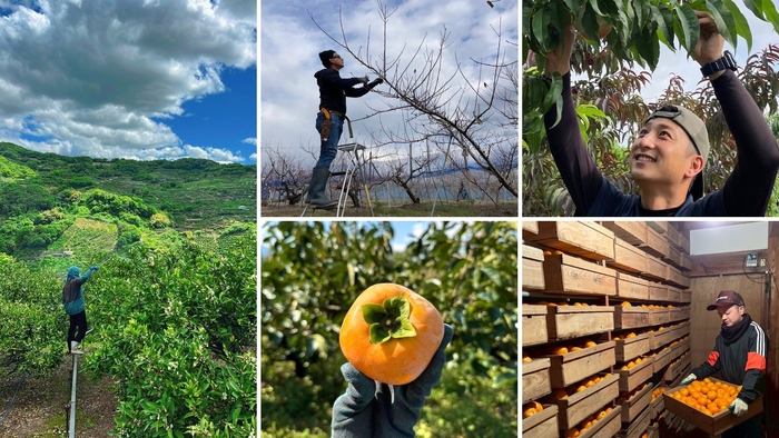 農筋メンバーの作業風景
