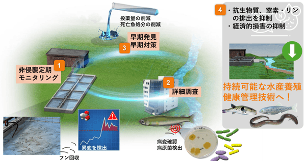図2 本技術を活用した次世代の水産養殖健康管理技術