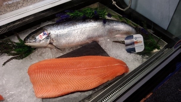 Panaferd(R)-AXを与えた養殖サーモン