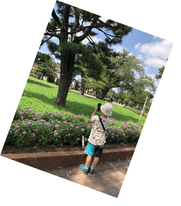 スマホのカメラ機能を 使って公園散歩!