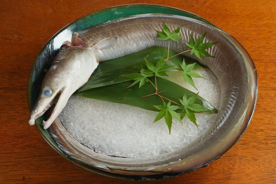 ▲夏に旬を迎える淡路島産鱧