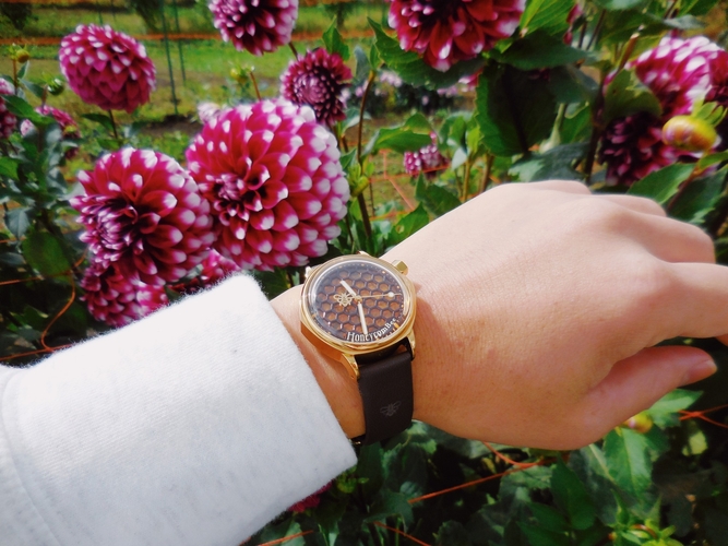 ブラウン着用イメージ