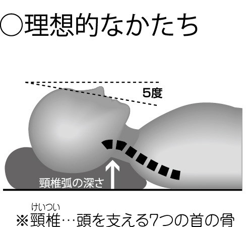 理想的な寝姿勢イラスト