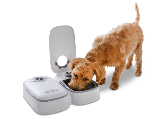 ペット自動給餌器 わんにゃんぐるめ CD-300 犬