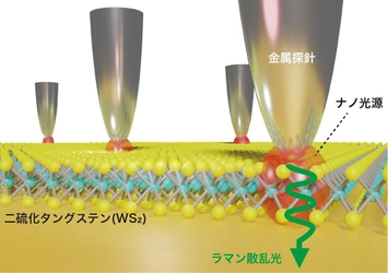 長時間・大面積の超解像ラマンイメージングを実現　 ～電子デバイス材料の評価や生体分子観察への応用に期待～