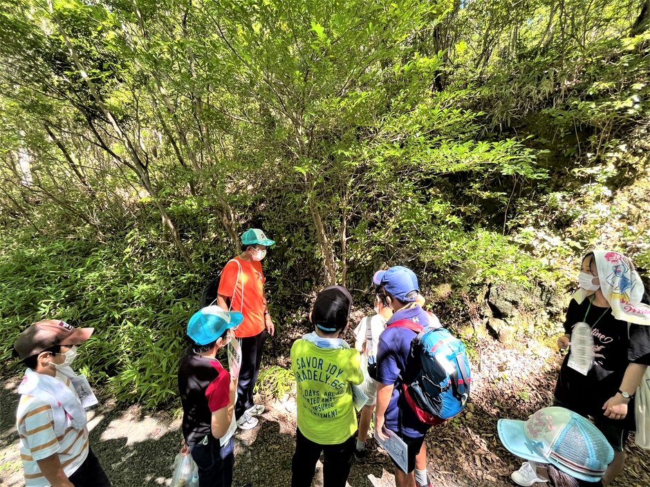 自然観察(昨年のサマースクールの様子)