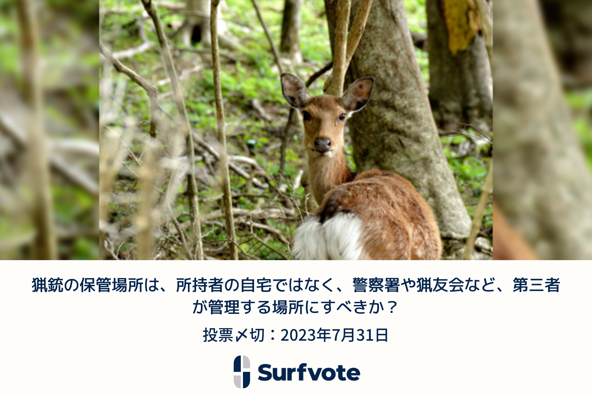 犯罪学者の小宮信夫氏が提起「猟銃の保管場所は、所持者の自宅ではなく、警察署や猟友会など、第三者が管理する場所にすべきか?」Surfvoteで投票開始