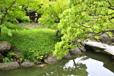 清澄庭園