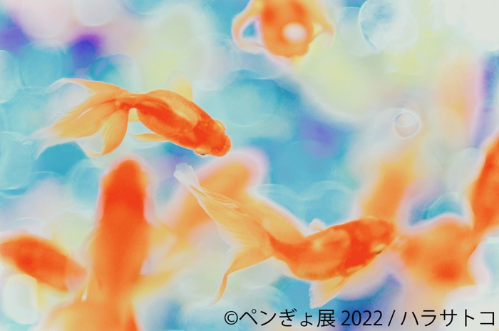 展示作品2