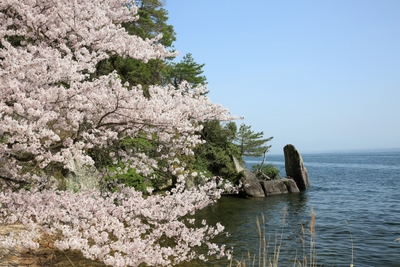 海津大崎