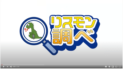 リスモン調べ動画キャプチャ