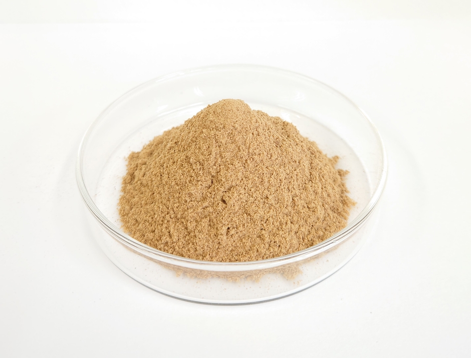 生分解性バイオ素材 ReFEZER