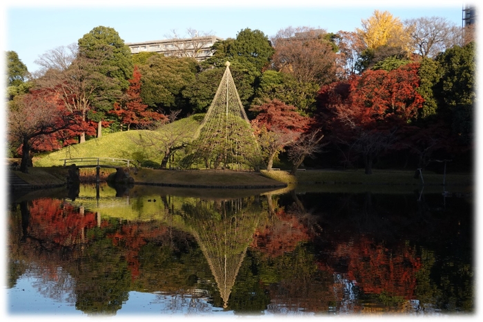 昨年の紅葉期の園内の様子