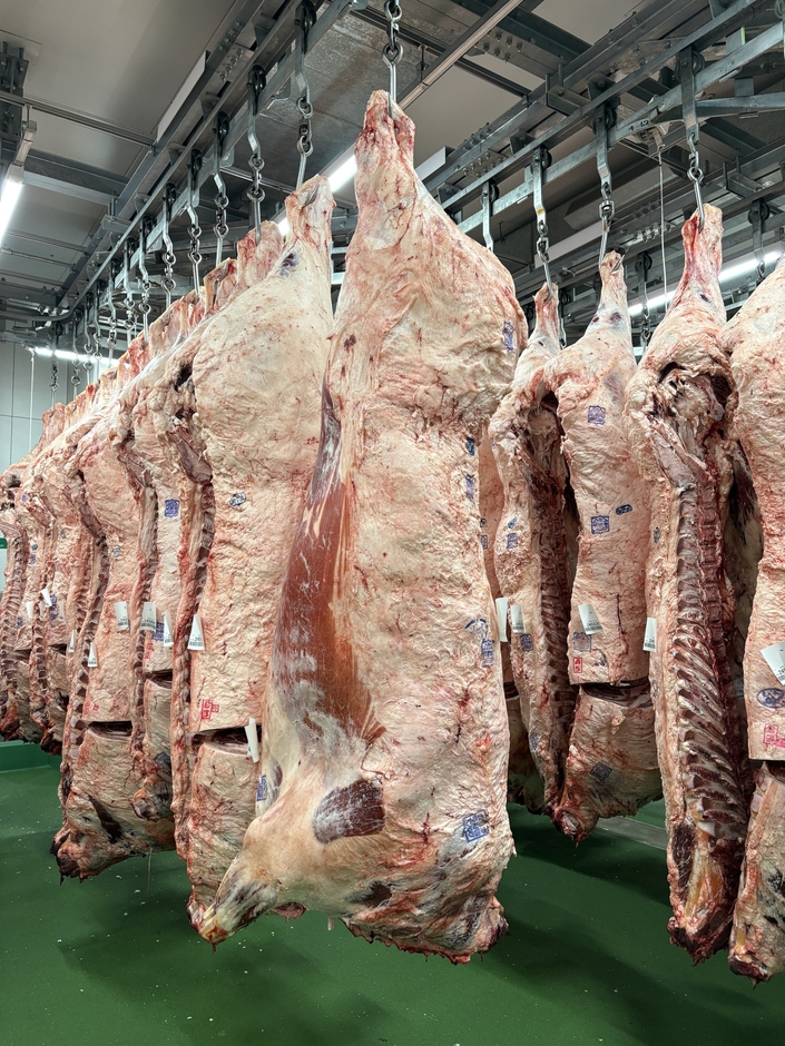 優秀賞を獲得した出品牛の右半身