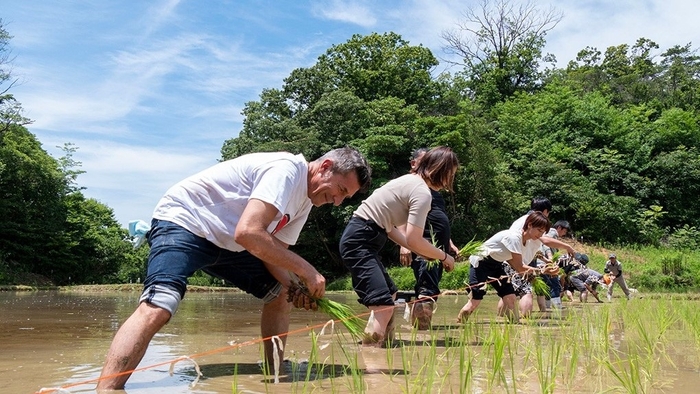 ▲パンツェッタ・ジローラモ氏と共に行った今年7月の田植えの様子