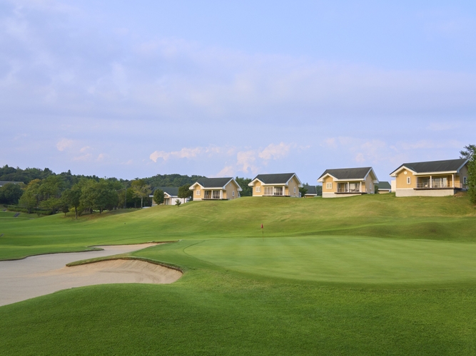 jlyDycP3aMQWZG65EnDb