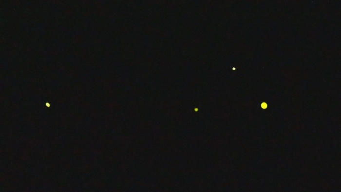 夜空を彩る“帰ってきたホタル”(6/17 OA分)