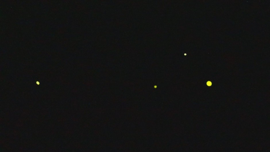 夜空を彩る“帰ってきたホタル”(6/17 OA分)