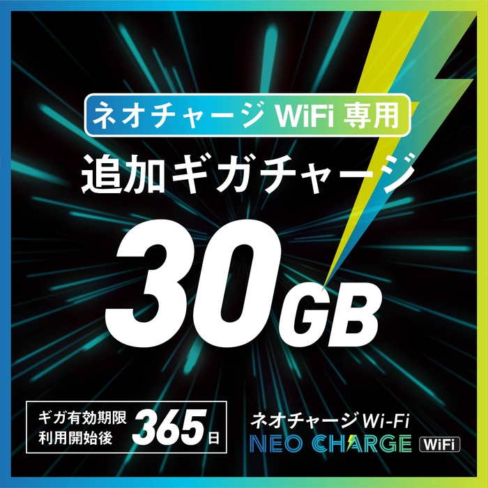 30GB　3&#44;280円(税込)