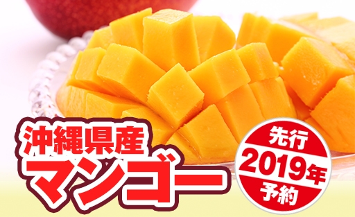 沖縄県産マンゴー  