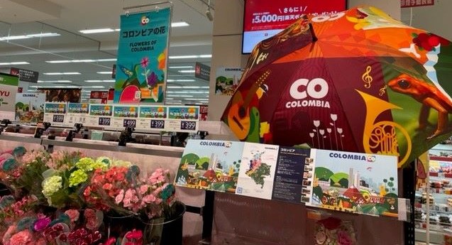 花の国コロンビア：コロンビア産フラワーフェアを開催！6/12（月）～18（日）