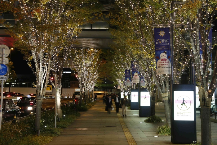 シャンパンゴールドイルミネーション(昨年の様子)