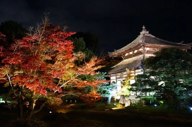 めぐるたび新しい京都 鹿王院夜間特別拝観のお知らせ