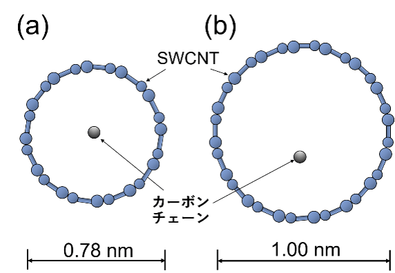 図2　直径の異なるSWCNTに内包されたカーボンチェーン（断面図）