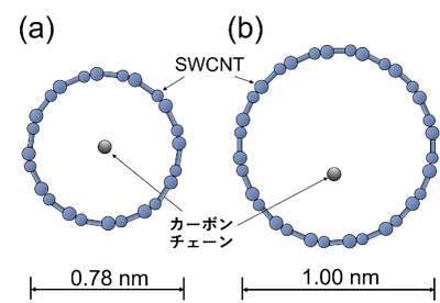 図2 直径の異なるSWCNTに内包されたカーボンチェーン(断面図)