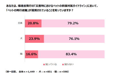 調査結果9
