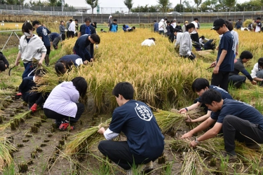 【名城大学】農学部附属農場で恒例の収穫祭を開催