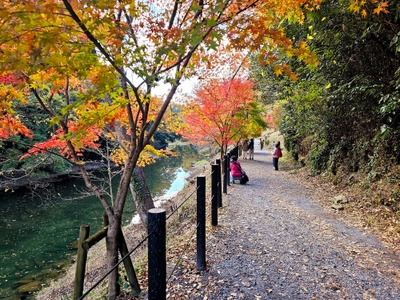 遊歩道が整備されていて歩きやすい