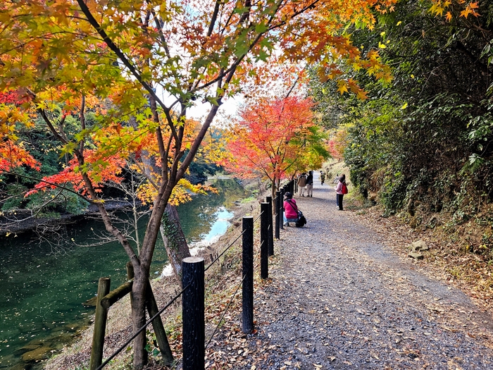 遊歩道が整備されていて歩きやすい