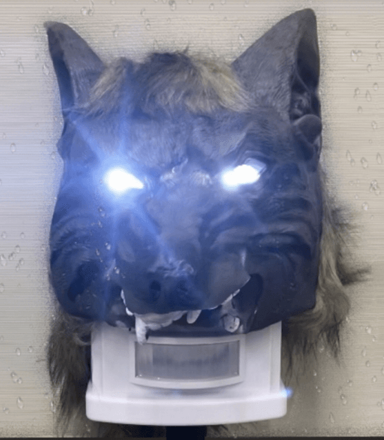 猛獣ブロック 光フラッシュ