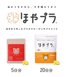 ほや由来プラズマローゲン配合サプリメント 「ほやプラ」本格販売開始
