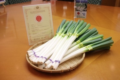 伯州美人