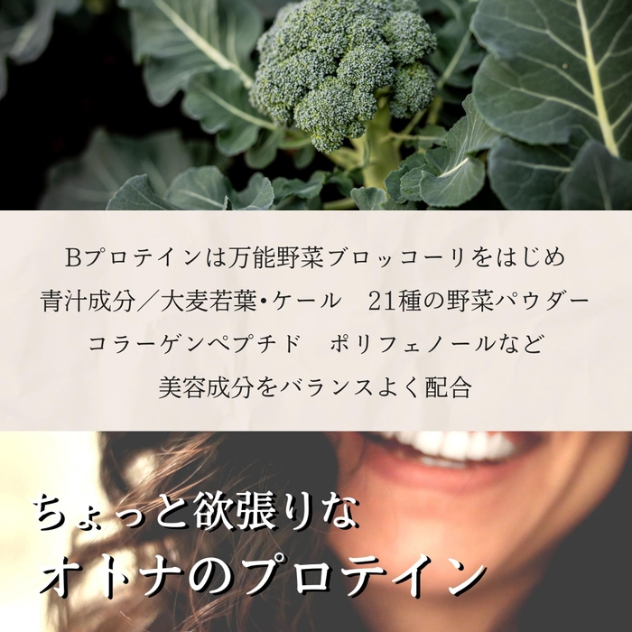 美容系/Bプロテイン