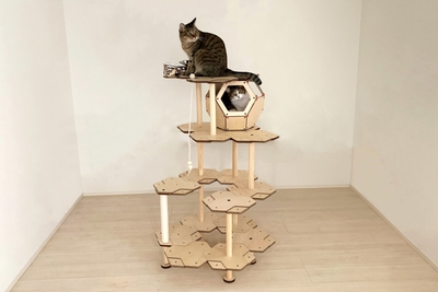にゃんこカプセルの使用イメージ