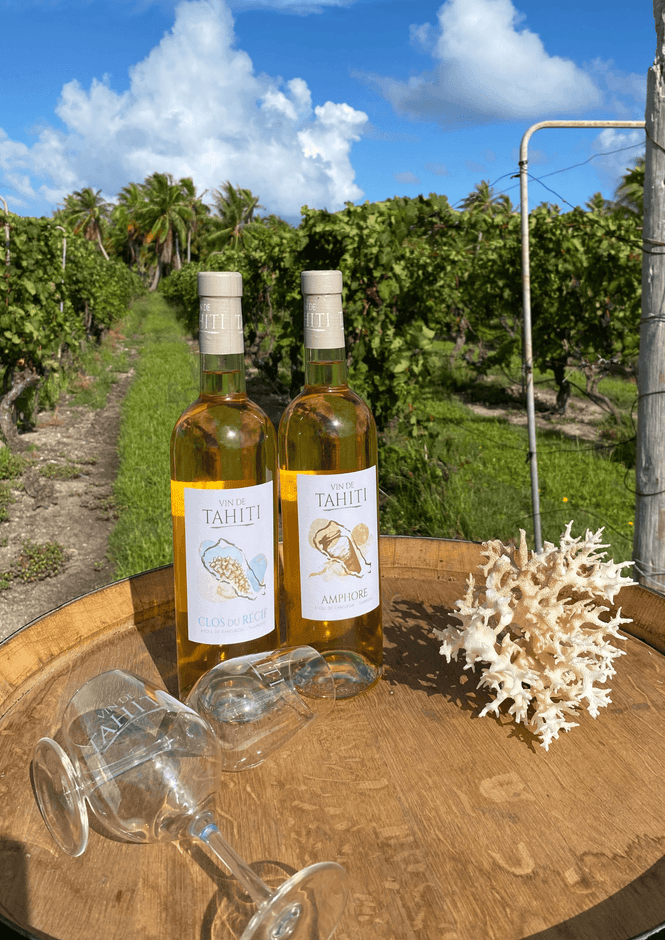 タヒチ産ワイン VIN DE TAHITI