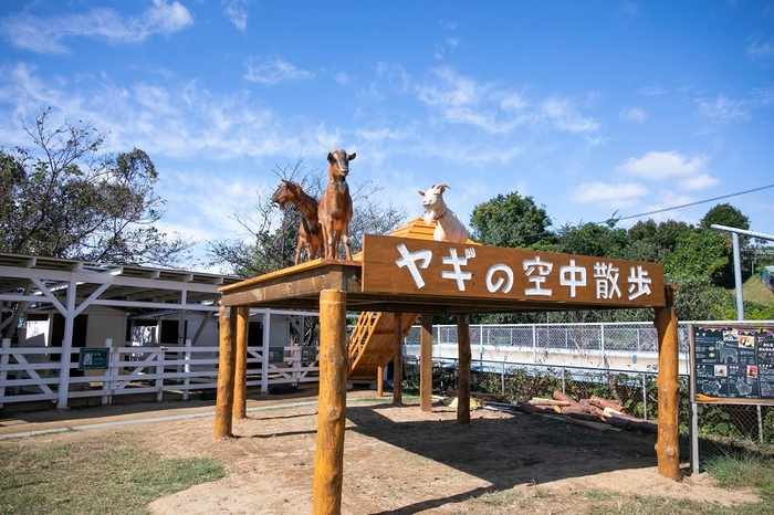 木でできたヤギのための橋「ヤギの空中散歩」