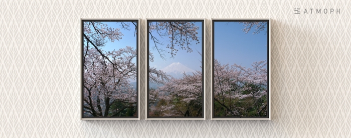 富士山と桜 3