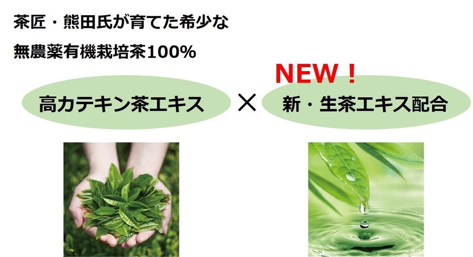 「高カテキン茶エキス」×「生茶エキス」