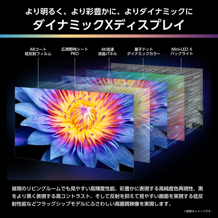 ダイナミックXディスプレイ