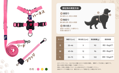 イメージ7