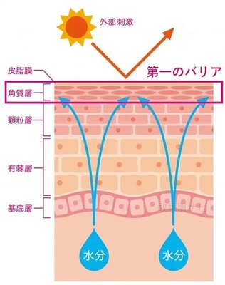 【敏感肌ケアにカルシウム】塗る理由を医学博士が解説