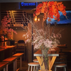 『BEER BOMB新宿/魚丸 立川店』 満開の桜を見ながら美味しい時間を！ 飲食店でお花見が楽しめる“#お店花見2021”開催中！ (開催期間：4月11日まで)